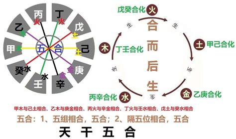 乙辛沖|八字解析天干相合相冲 – 八字天干相冲